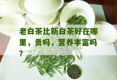 老白茶比新白茶好在哪里，贵吗，营养丰富吗？