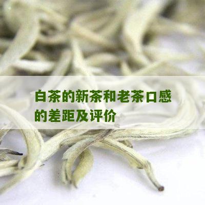 白茶的新茶和老茶口感的差距及评价