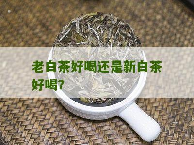 老白茶好喝还是新白茶好喝？