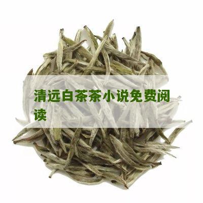 清远白茶茶小说免费阅读