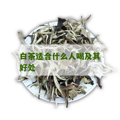 白茶适合什么人喝及其好处