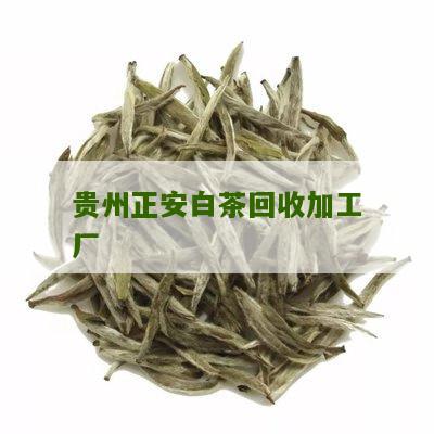 贵州正安白茶回收加工厂