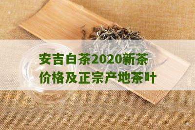 安吉白茶2020新茶价格及正宗产地茶叶