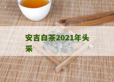 安吉白茶2021年头采