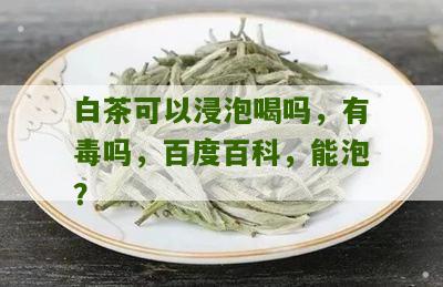 白茶可以浸泡喝吗，有毒吗，百度百科，能泡？