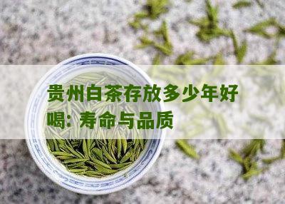 贵州白茶存放多少年好喝: 寿命与品质