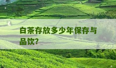 白茶存放多少年保存与品饮？