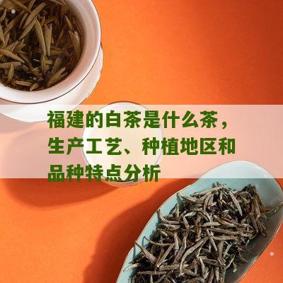 福建的白茶是什么茶，生产工艺、种植地区和品种特点分析