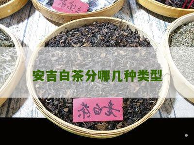 安吉白茶分哪几种类型