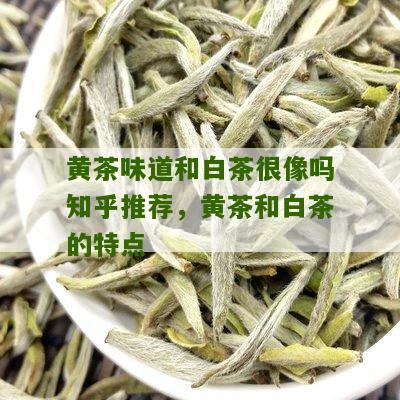 黄茶味道和白茶很像吗知乎推荐，黄茶和白茶的特点