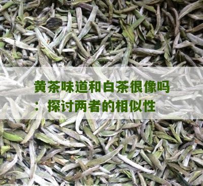 黄茶味道和白茶很像吗：探讨两者的相似性