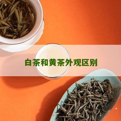 白茶和黄茶外观区别