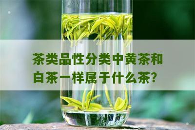 茶类品性分类中黄茶和白茶一样属于什么茶？