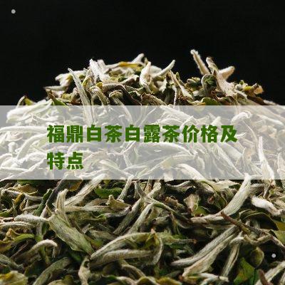 福鼎白茶白露茶价格及特点