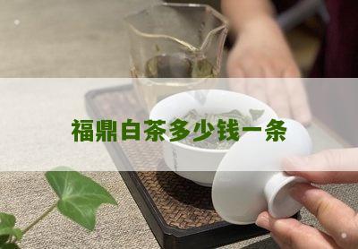 福鼎白茶多少钱一条