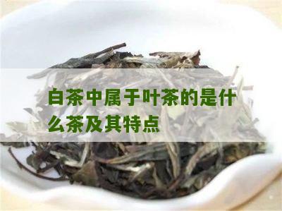 白茶中属于叶茶的是什么茶及其特点