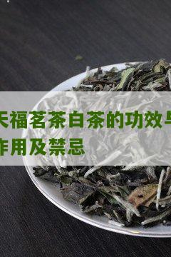 天福茗茶白茶的功效与作用及禁忌