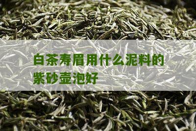 白茶寿眉用什么泥料的紫砂壶泡好