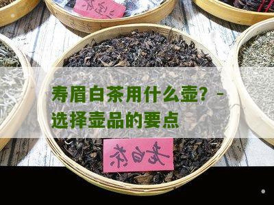 寿眉白茶用什么壶？-选择壶品的要点