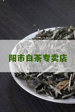 阳市白茶专卖店