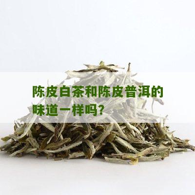 陈皮白茶和陈皮普洱的味道一样吗？