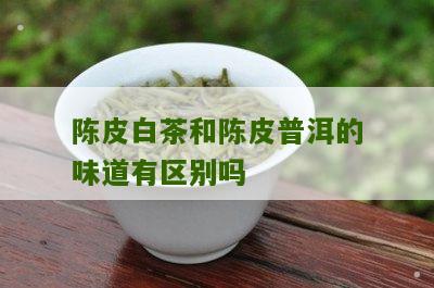 陈皮白茶和陈皮普洱的味道有区别吗