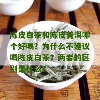 陈皮白茶和陈皮普洱哪个好喝？为什么不建议喝陈皮白茶？两者的区别是什么？