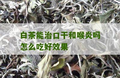 白茶能治口干和喉炎吗怎么吃好效果