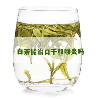 白茶能治口干和喉炎吗