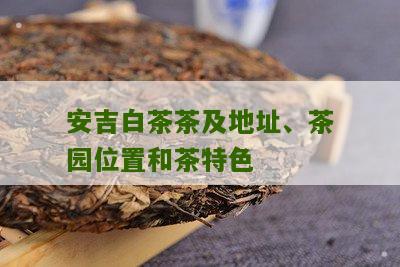 安吉白茶茶及地址、茶园位置和茶特色