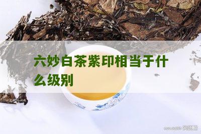 六妙白茶紫印相当于什么级别