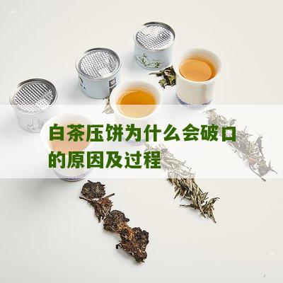 白茶压饼为什么会破口的原因及过程