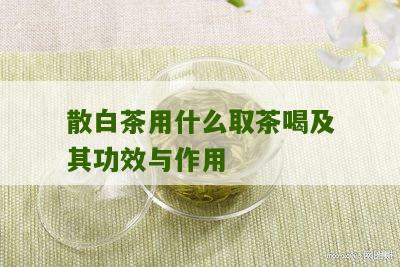 散白茶用什么取茶喝及其功效与作用