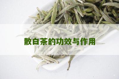 散白茶的功效与作用