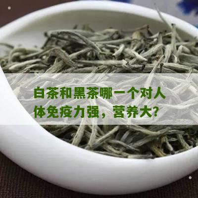 白茶和黑茶哪一个对人体免疫力强，营养大？