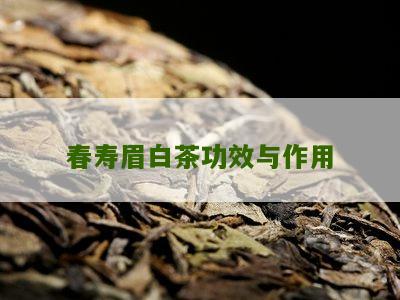 春寿眉白茶功效与作用