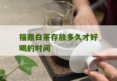 福鼎白茶存放多久才好喝的时间