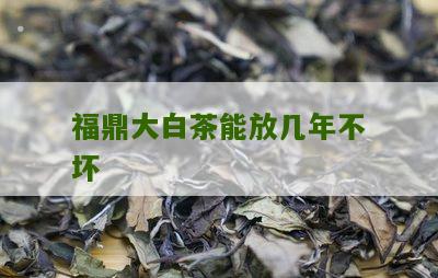 福鼎大白茶能放几年不坏