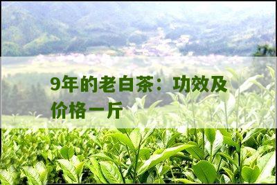 9年的老白茶：功效及价格一斤