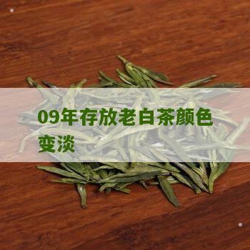 09年存放老白茶颜色变淡