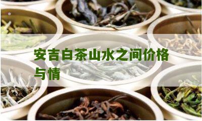 安吉白茶山水之间价格与情