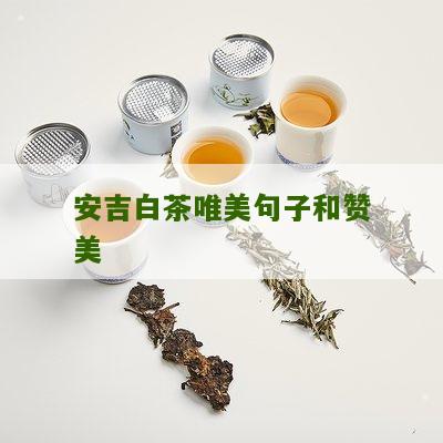 安吉白茶唯美句子和赞美