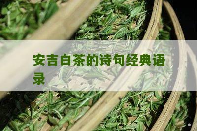 安吉白茶的诗句经典语录