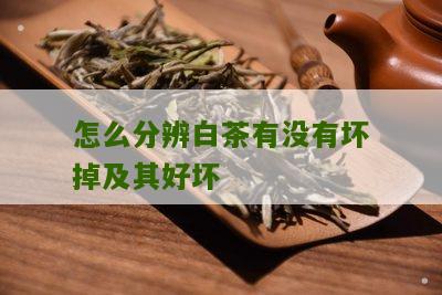 怎么分辨白茶有没有坏掉及其好坏