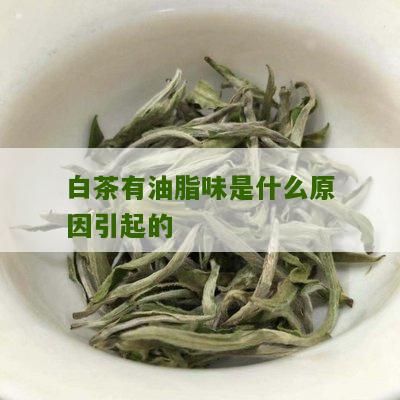 白茶有油脂味是什么原因引起的