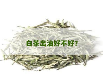 白茶出油好不好？