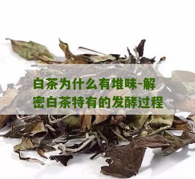 白茶为什么有堆味-解密白茶特有的发酵过程