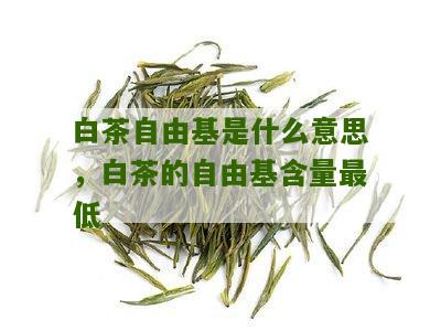 白茶自由基是什么意思，白茶的自由基含量最低