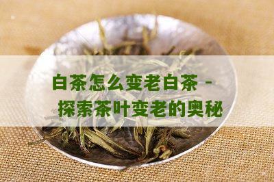 白茶怎么变老白茶 - 探索茶叶变老的奥秘