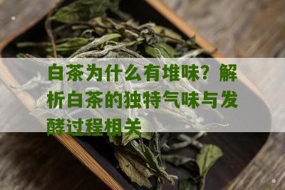 白茶为什么有堆味？解析白茶的独特气味与发酵过程相关